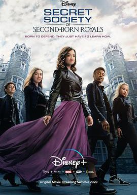 皇家次子女秘密组织的海报